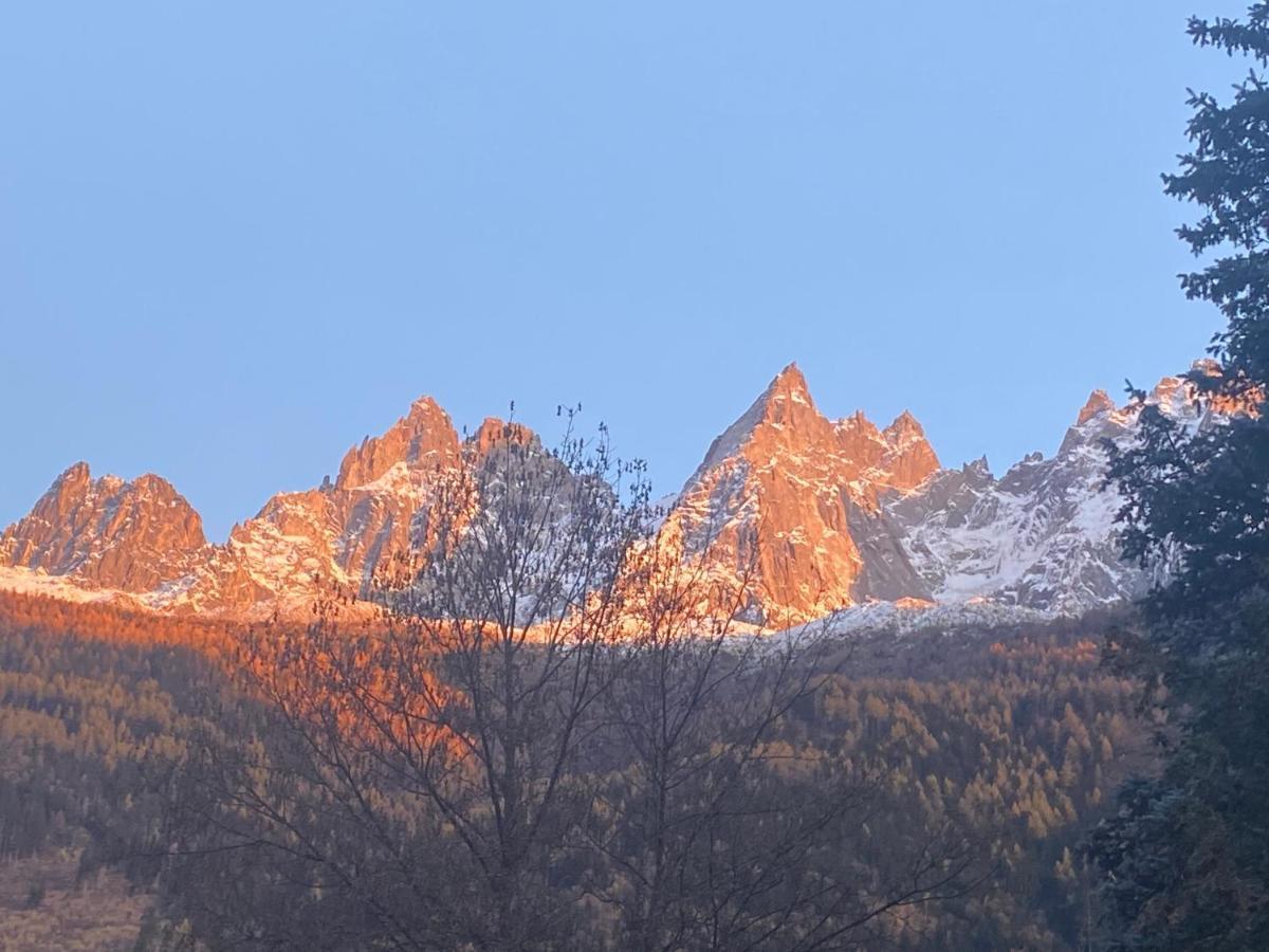 Chamonix - Majestic Vue Mont Blanc Apartment Luaran gambar